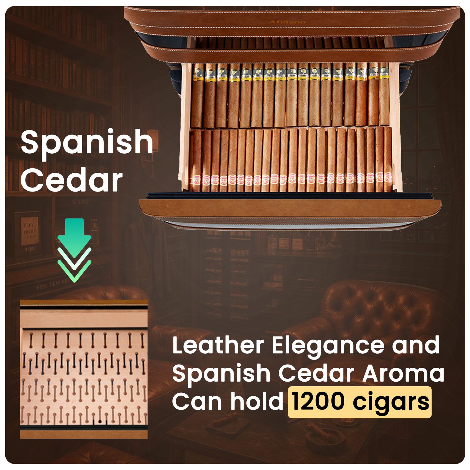 Afidano L5 Electric Cigar Humidor - Image 7