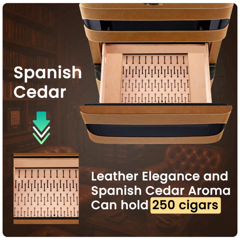 Afidano L3 Electric Cigar Humidor