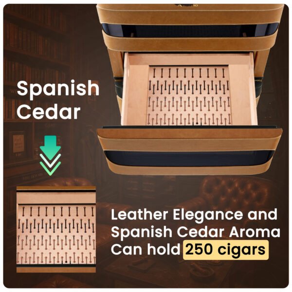 Afidano L3 Electric Cigar Humidor - Image 11