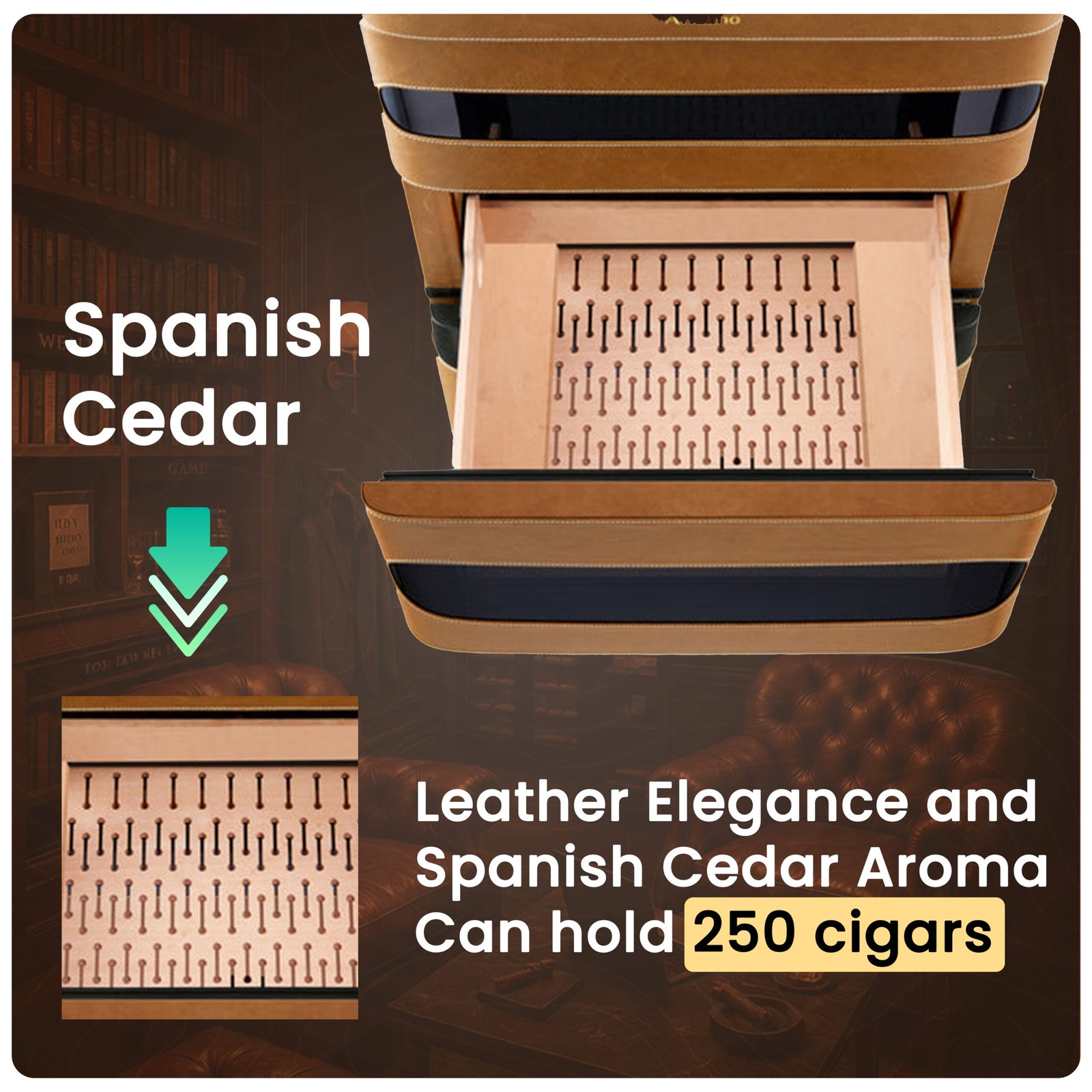 Afidano L3 Electric Cigar Humidor - Image 11
