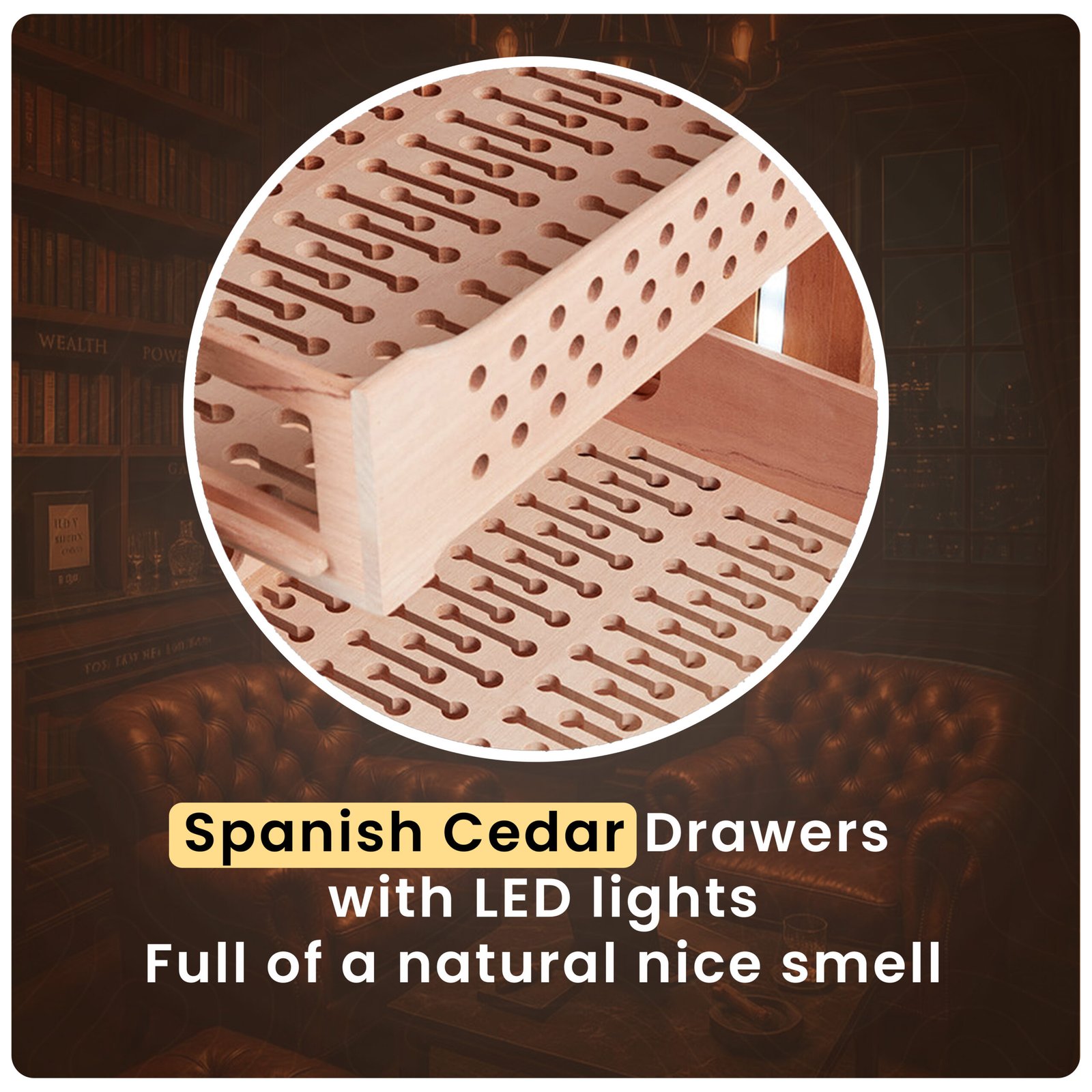 Afidano C5 Electric Cigar Humidor - Image 4