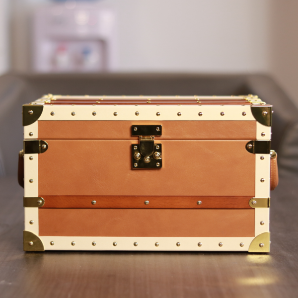 Luxury Cigar Humidor Treasurer Brown - Image 2