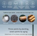 Raching Cigar Humidor Cabinet Electronic Cigar Humidor Premium Cigar C Series - C230A ( 1200 cigars )- BLACK - Image 5